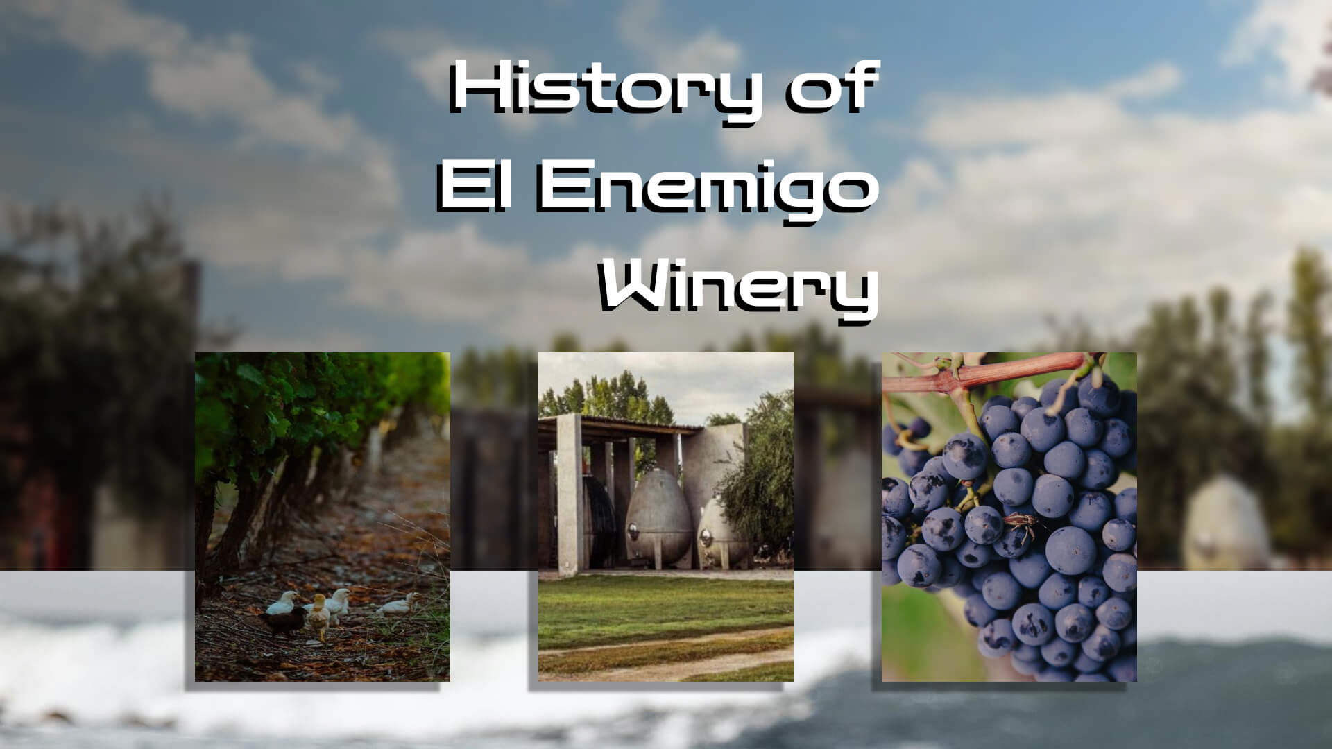 The History of El Enemigo Winery