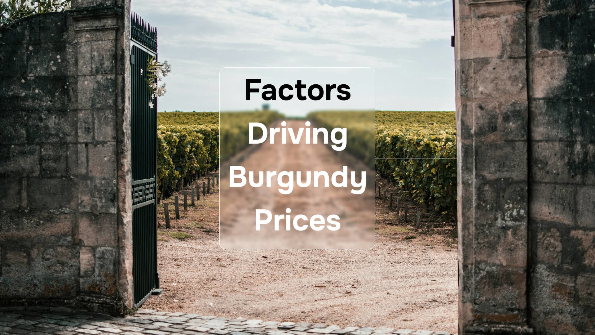 Factors Driving Burgundy Prices