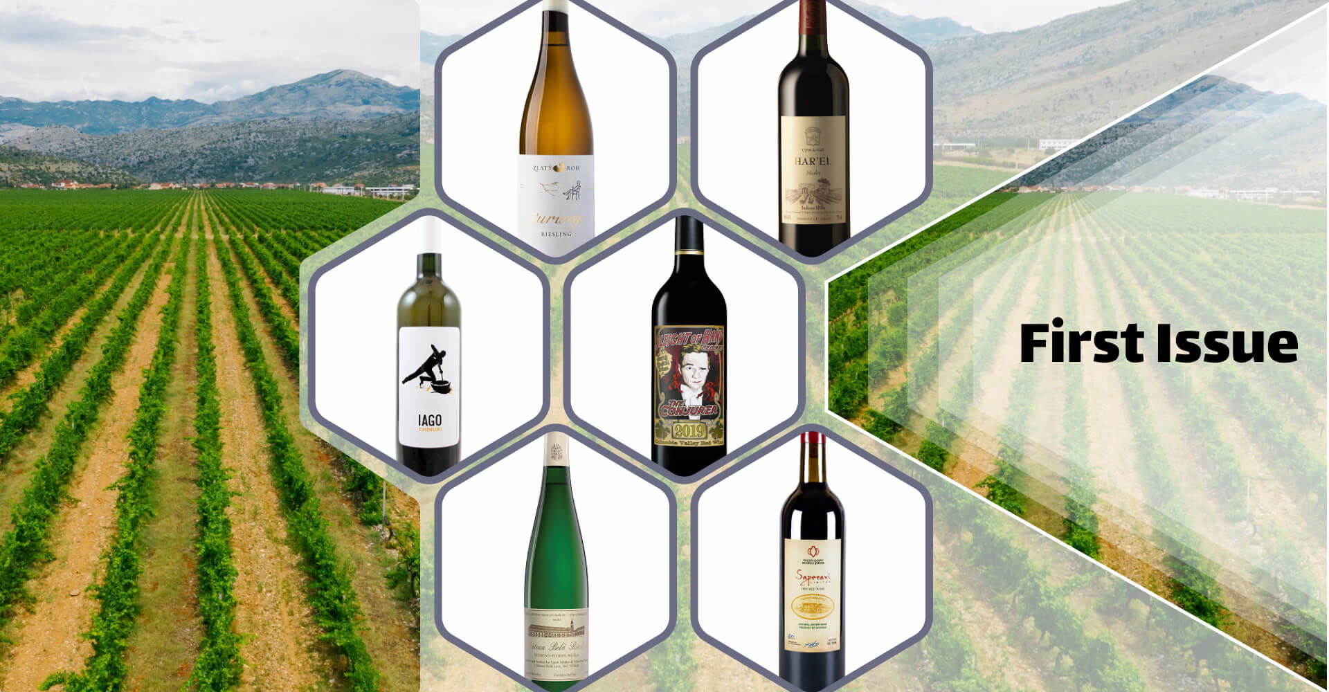 6 Lesser-Known Wines From All Over the World to Try