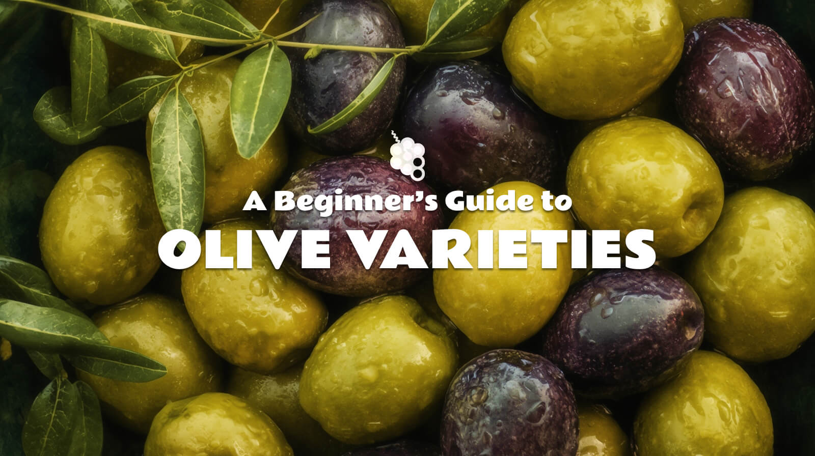 Guide to Olive Varieties: What Each One Tastes Like & How to Choose