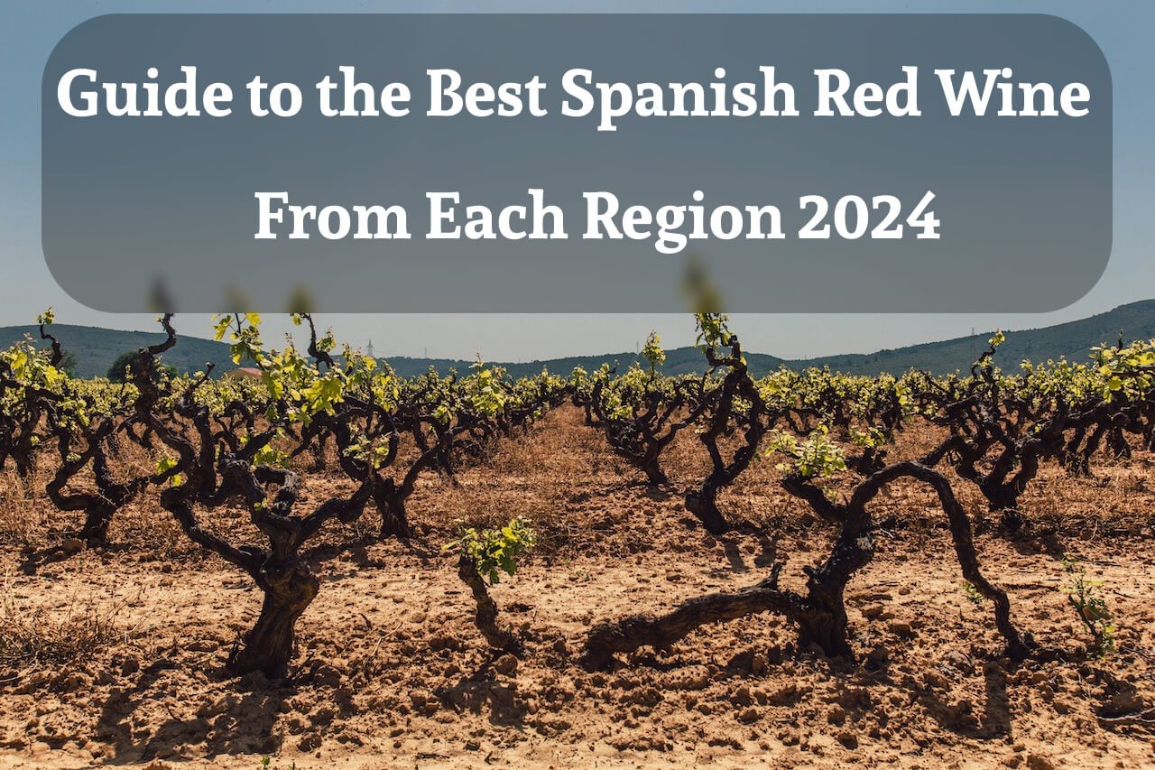 Guide to the Best Spanish Red Wine From Each Region 2024