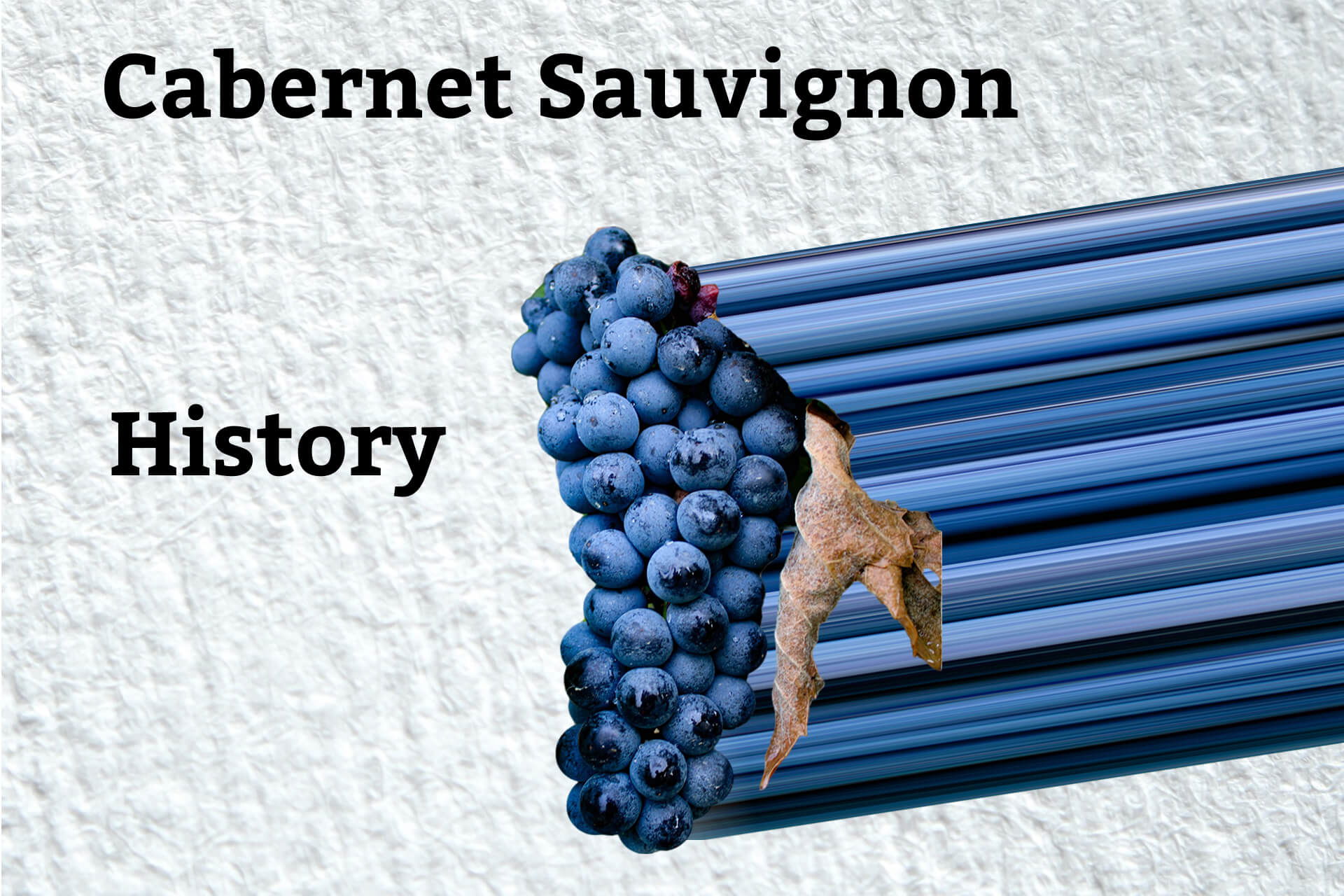 History of Cabernet