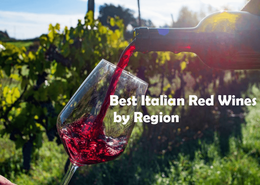 Best Italian Red Wines by Region