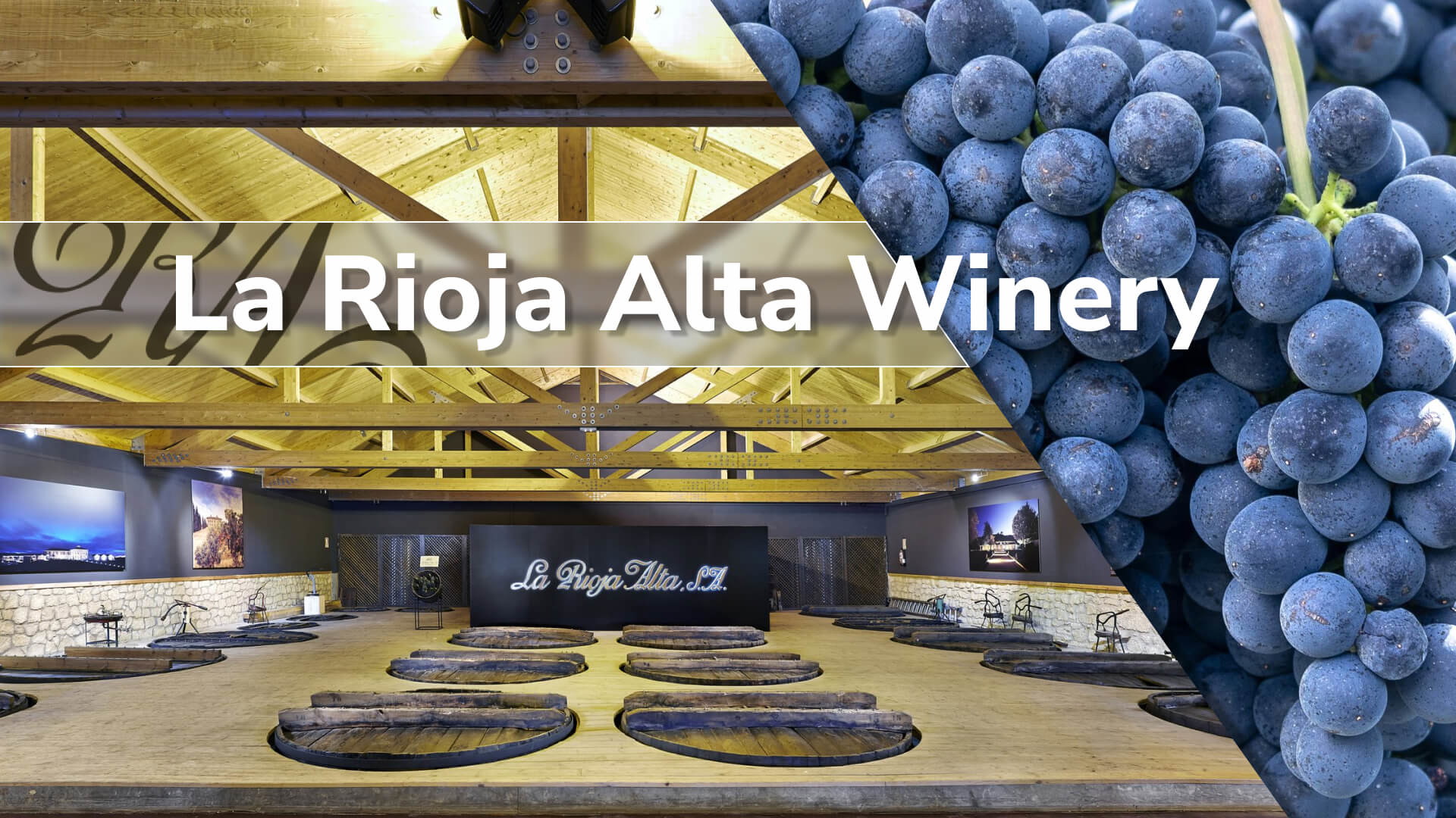 A Comprehensive Guide to La Rioja Alta Winery