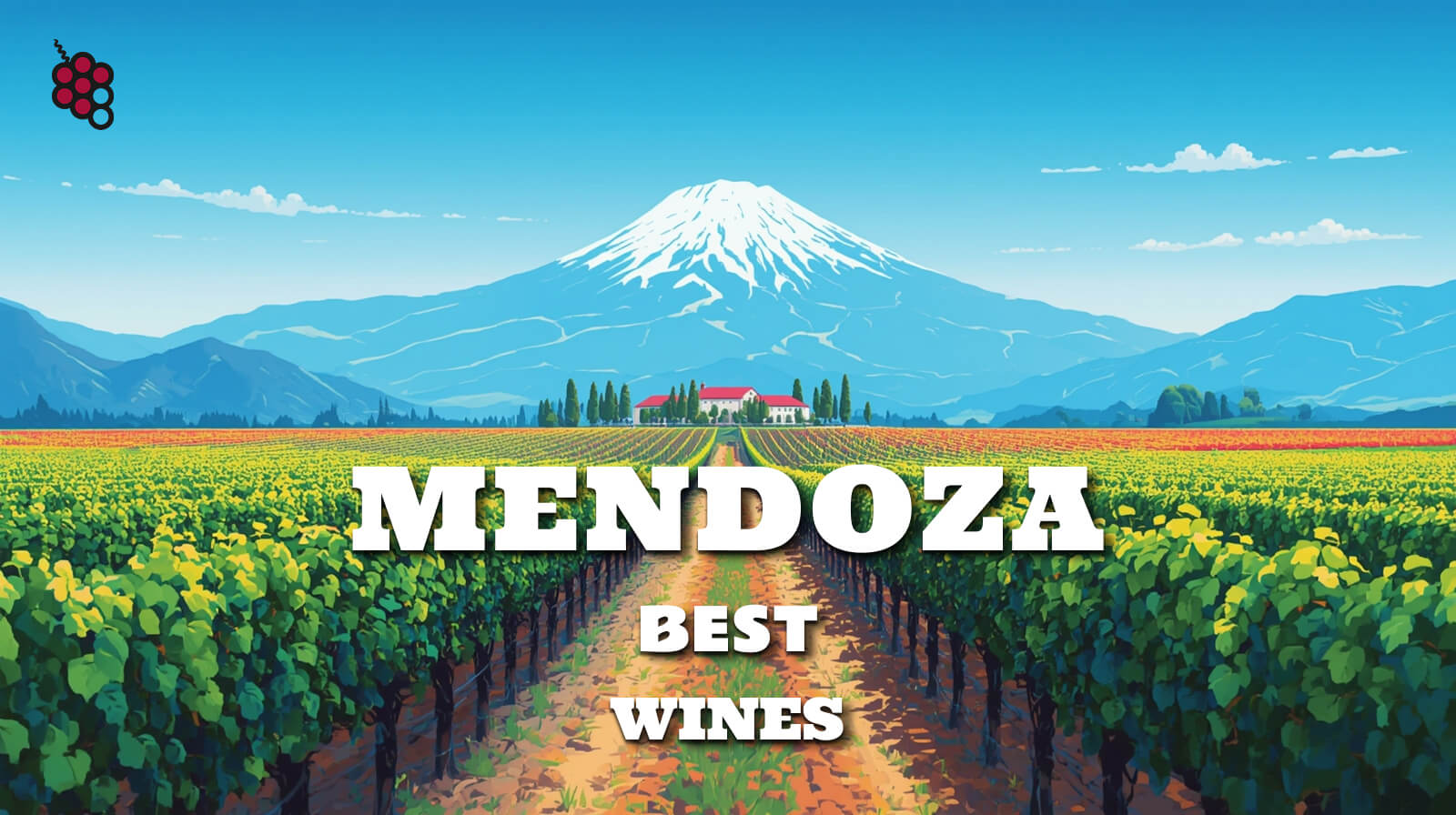 Guide to the Best Wines From Mendoza, Argentina