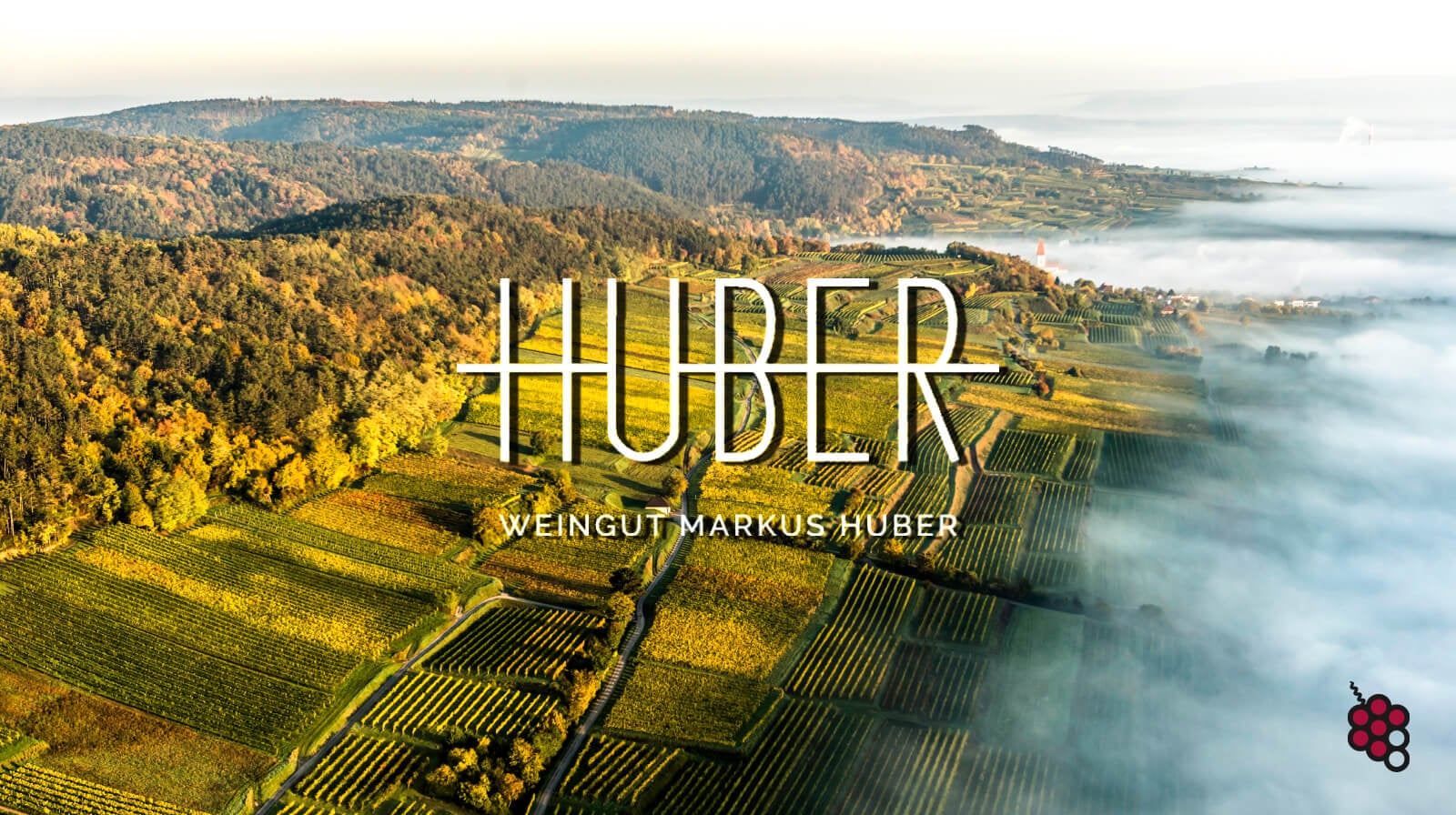 Markus Huber: Austria’s Perfect 100-Point Winemaker