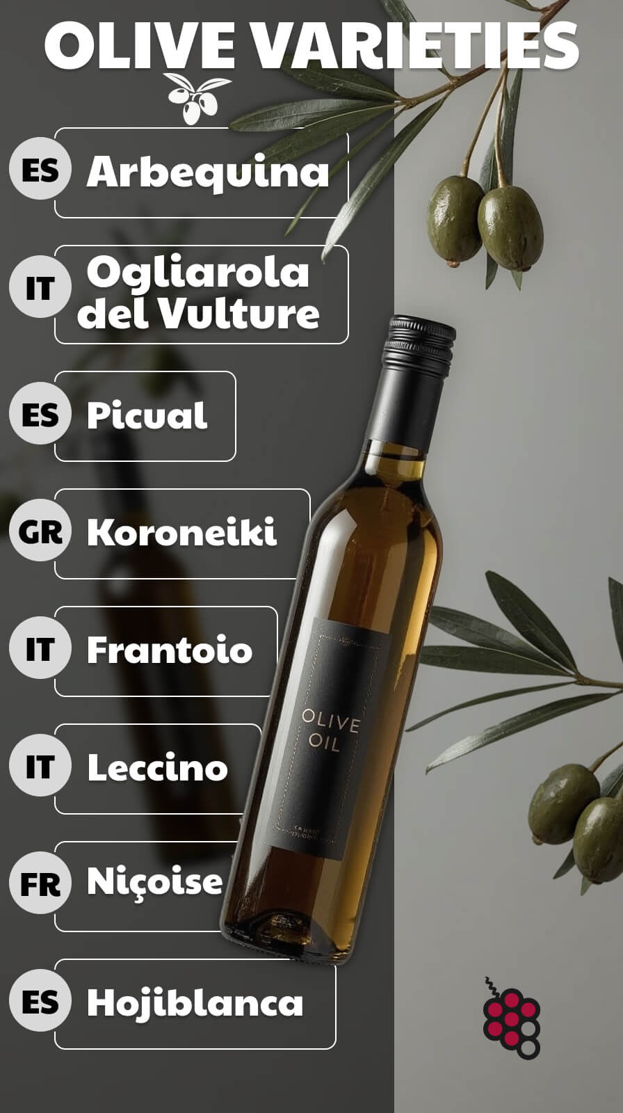 Olive Varieties You Should Know