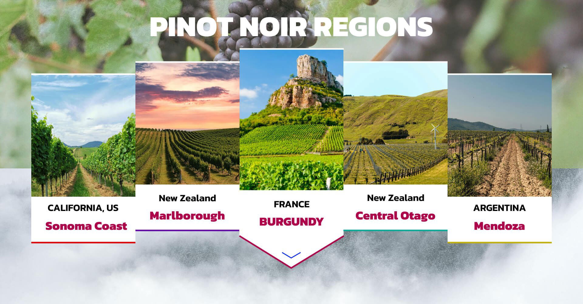 Pinot Noir Regions