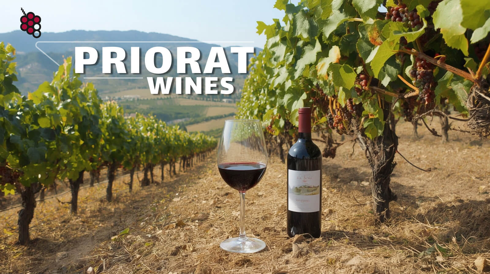 Priorat Wines: From Ancient Monastic Tradition to Modern Revival