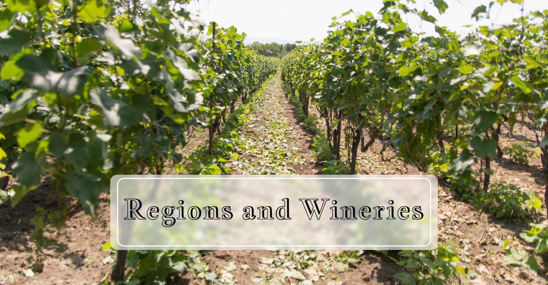 Regions and Wineries