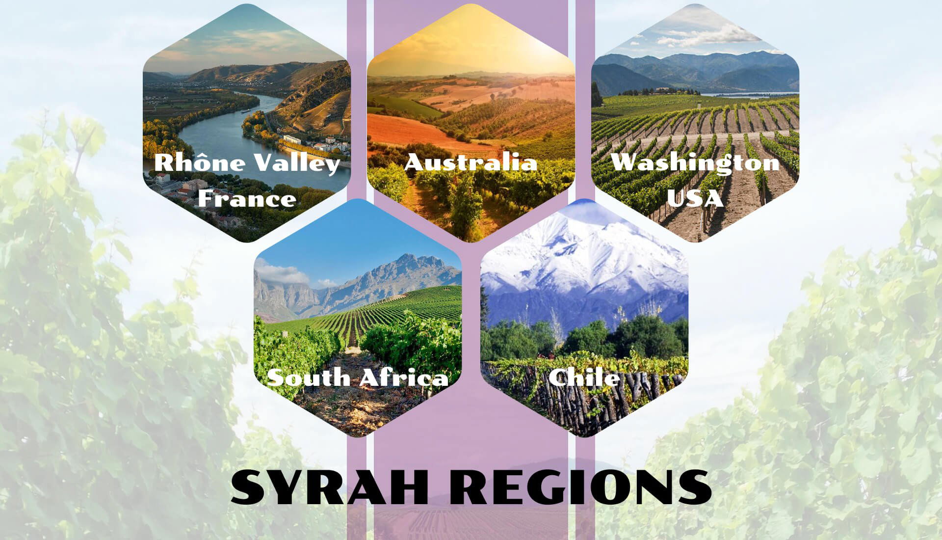 Syrah Regions