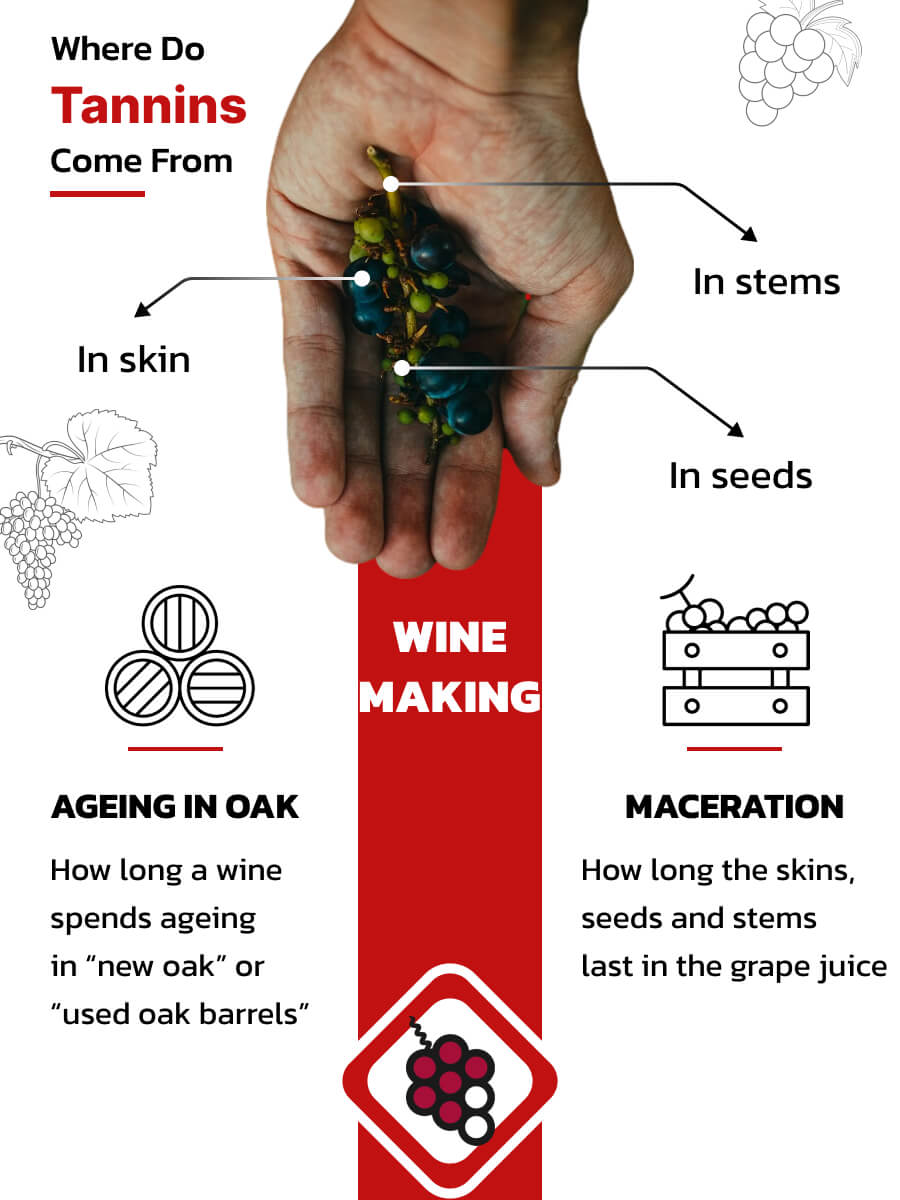 Where Do Tannins Come From