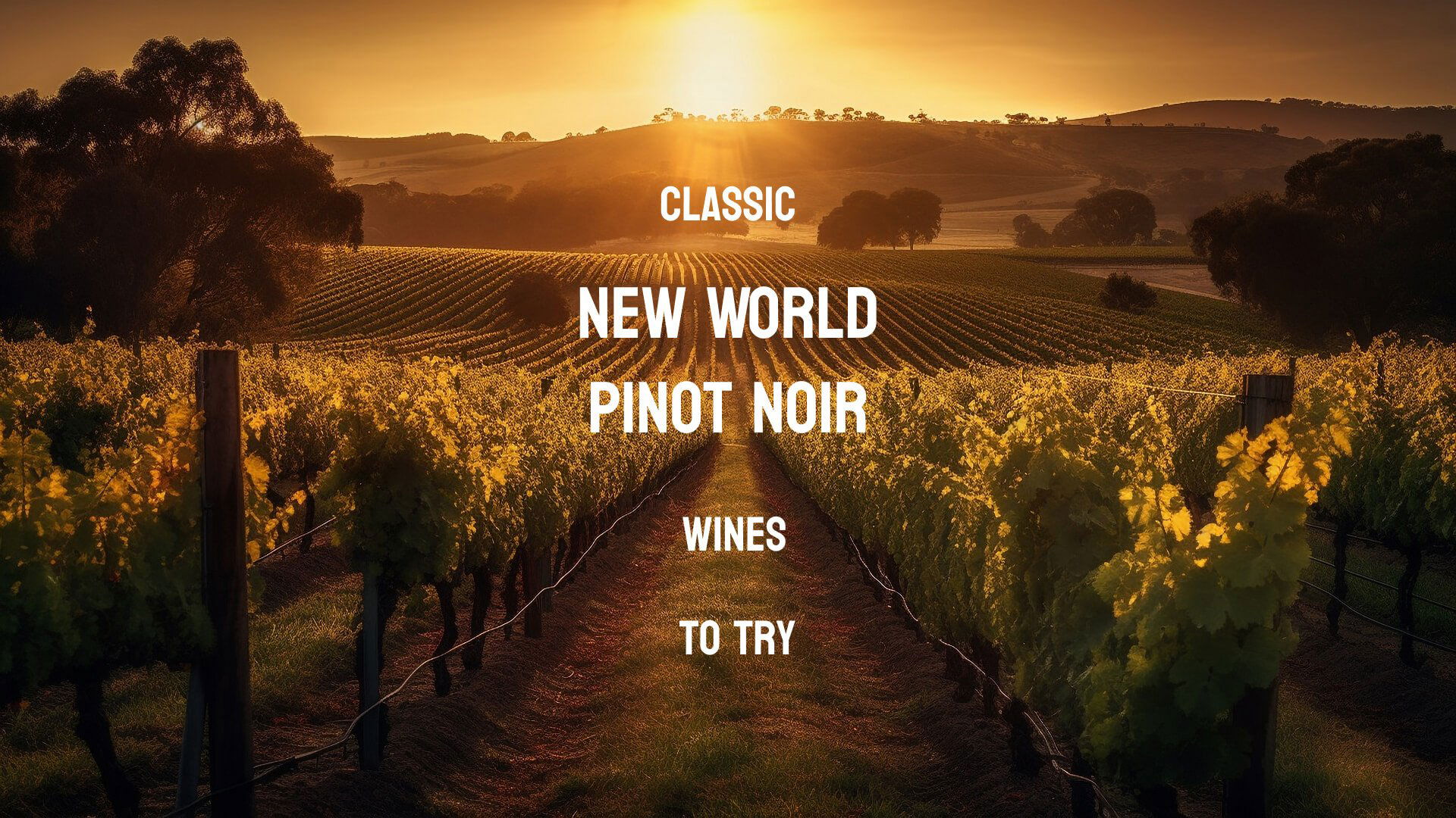 classic New World Pinot Noir wines to try