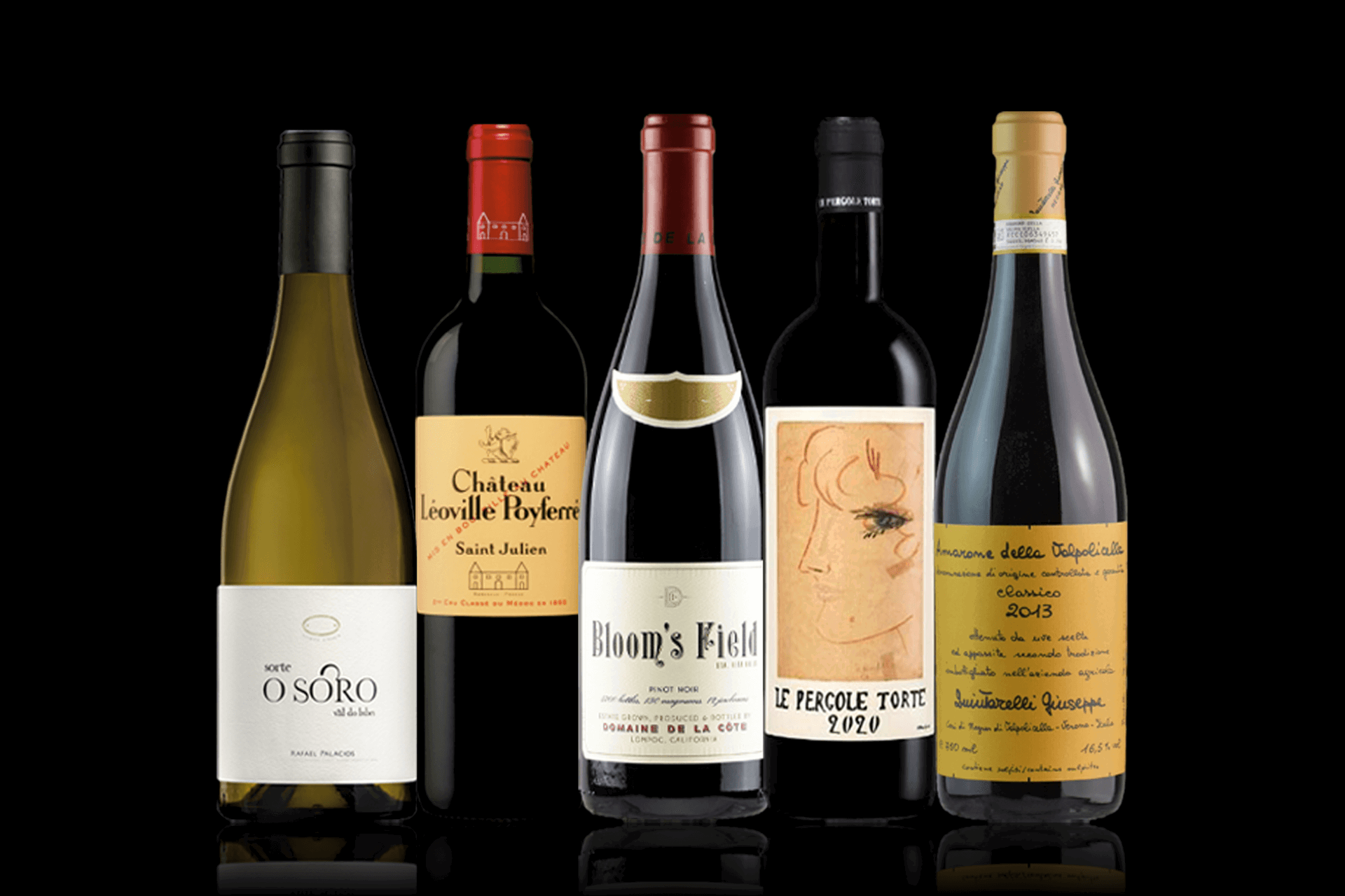 Five Top Rated Premium Wines 