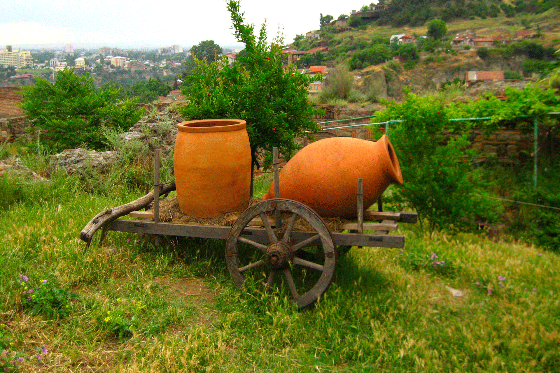 Georgia, Cradle and New Frontier of World Viticulture