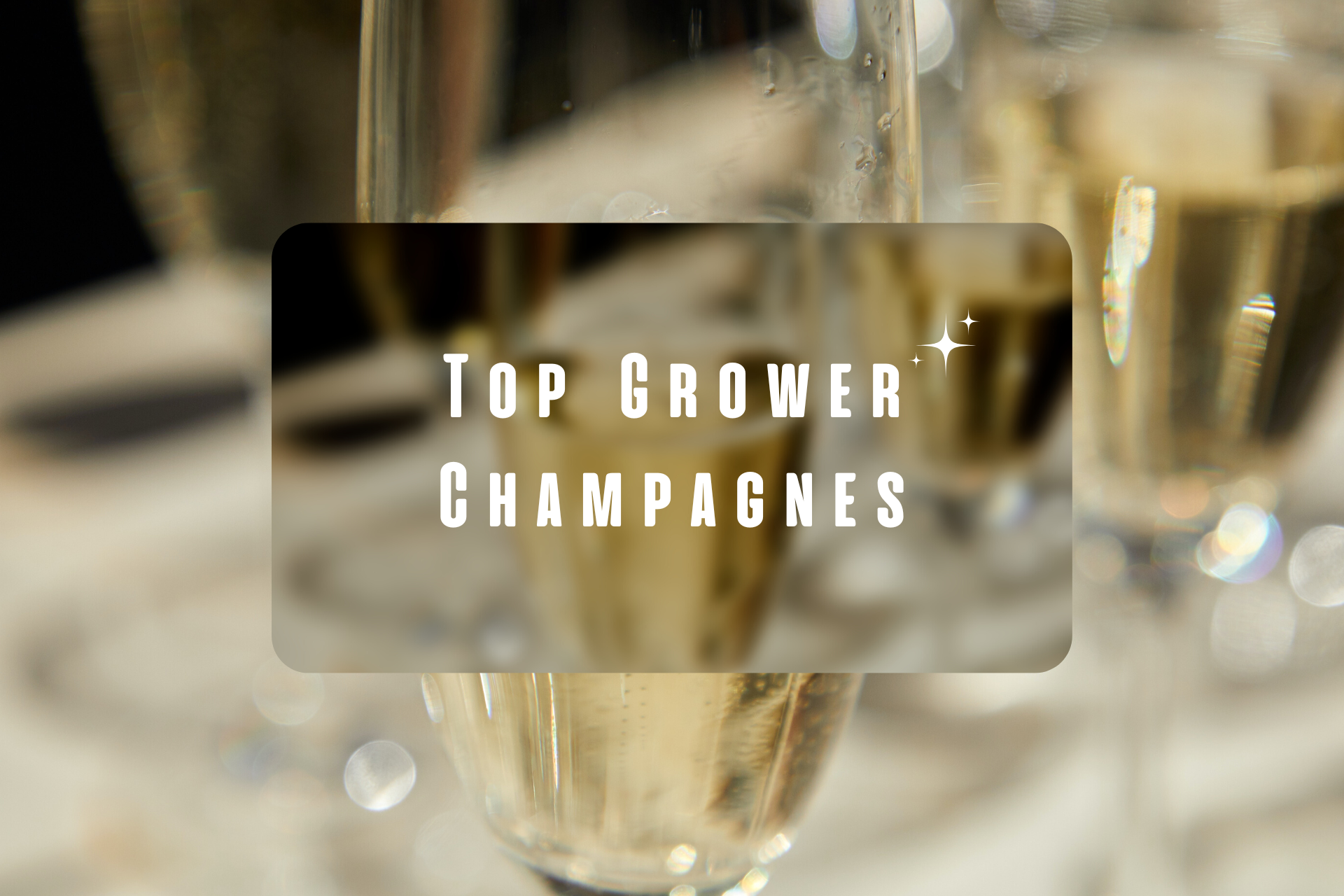 Top Grower Champagnes